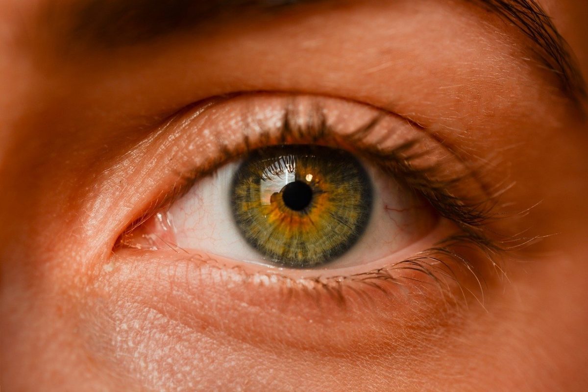 Oczy to charakterystyczny organ. To naturalnie dzięki nim spostrzegamy.
