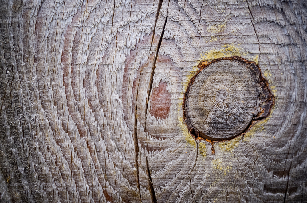 Tartak – Źródło Wyjątkowego Drewna: Kreuj Z Zapałem i Wytrzymałością.
